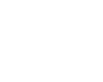 Logo Tommasina